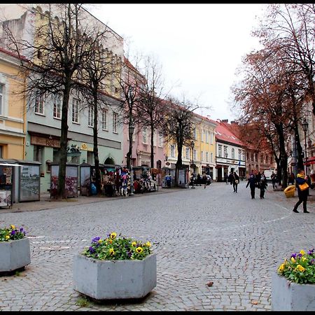 Pogo Hostel Vilna Exterior foto Main Square